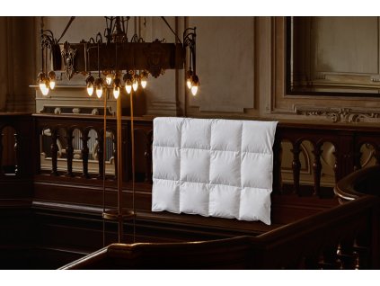 Péřová přikrývka Excellent (Varianty 140x200 cm (600 g))