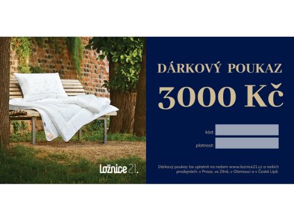 2580 darkovy poukaz v hodnote 3000 kc