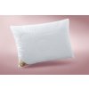 Antibakteriální polštář (Varianty 50x70 cm zip+vak (500 g))