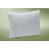 Polštář Climaactive Wellness (Varianty 2ks 70x90 cm zip (1000 g) + náplň zdarma)
