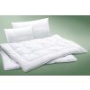 Celoroční set Vital antibakteriální (Varianty polštář 50x70 cm zip+vak (500 g) + přikrývka 140x200 cm (300 g/m²))