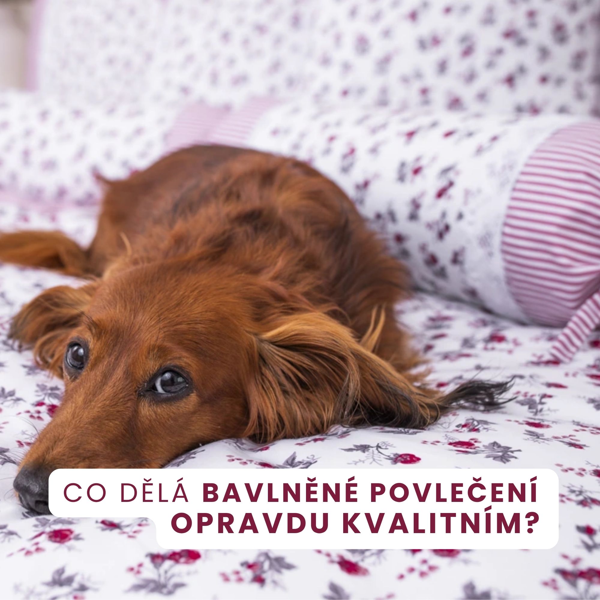 Proč je naše bavlněné povlečení opravdu kvalitní? Rozhoduje příze i hustota tkaní