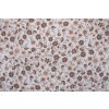 Přehoz, letní deka HNĚDÉ KYTIČKY poz/neg (Název Přehoz, přikrývka 140x200 cm, Barva Bílá)