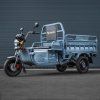 leramotors cargo g1 1000w coc seda