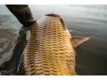 4049 4049 4049 poukaz 500kc