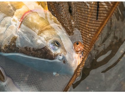 4055 1 4055 1 4055 1 poukaz 1500 kc