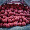 Boilies LT Baits Extreme Strawberry 10 kg