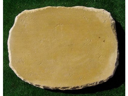 Bonsai deska oval BD01.jpeg