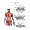 LIDSKÉ TĚLO – Komplexní vzdělávací průvodce (49 stran)