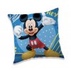 13776 vankusik mickey hey 4270