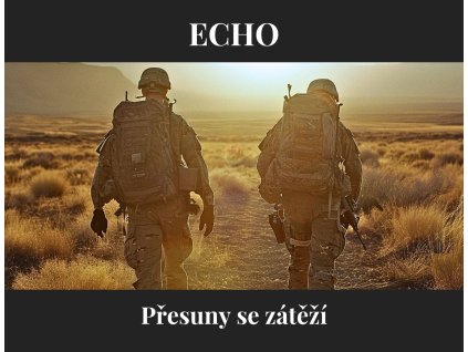 Echo cover