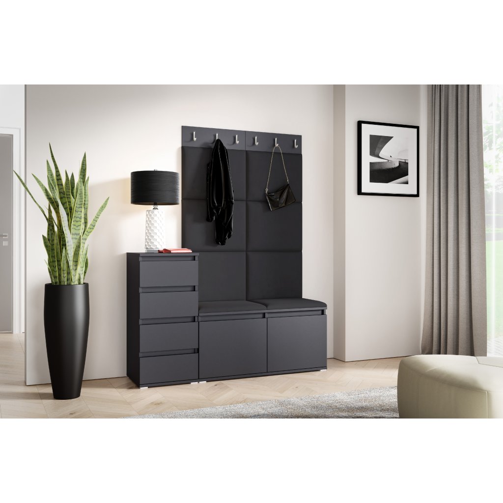 Eka Předsíňová stěna s čalouněnými panely Trinity 34 - Grafit / Černá 2316