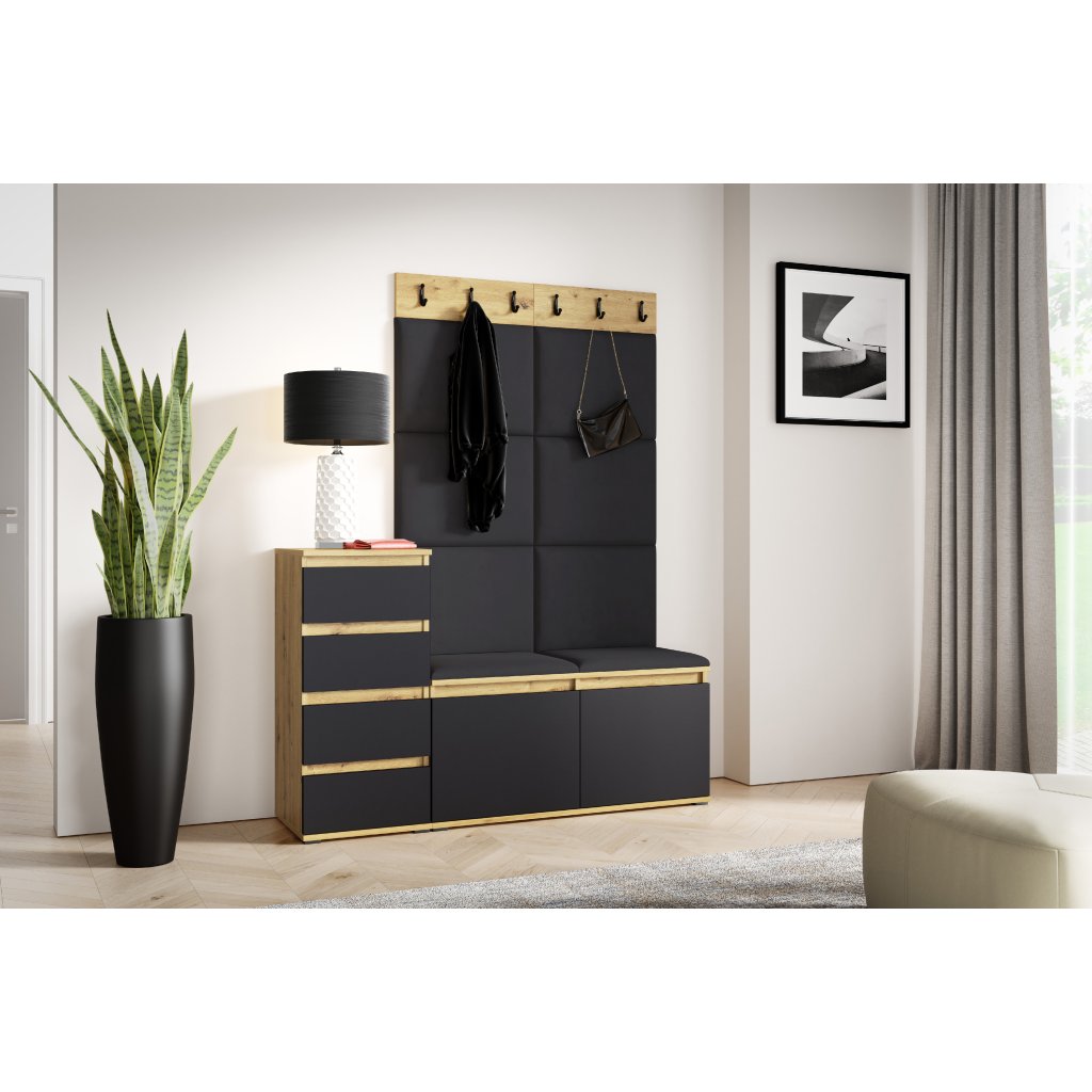 Eka Předsíňová stěna s čalouněnými panely Trinity 34 - Dub Artisan s černou /Černá 2316