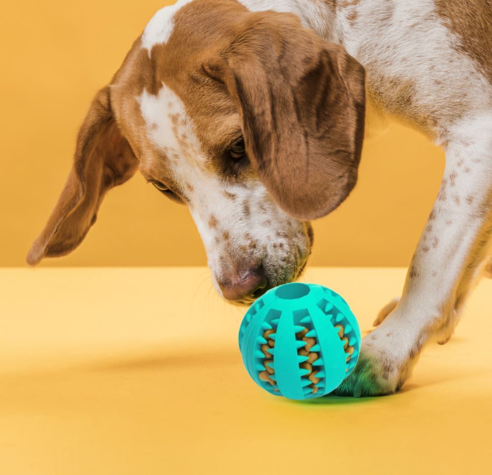 Detenix Žvýkací míček pro psy - mint