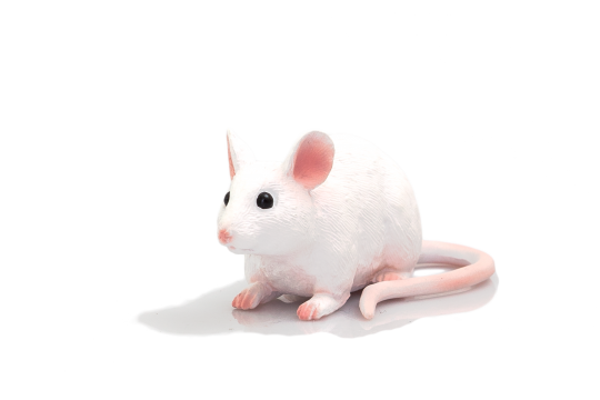 Levně Mojo Myš