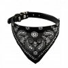 obroza bandamka dla psa z chusta czarna