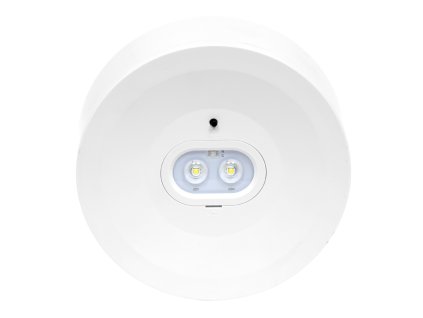 293 0TL1006 3W web1