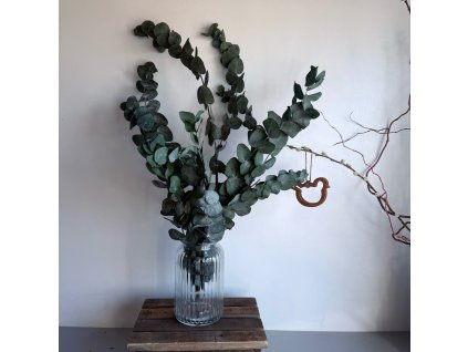 WhatsApp Image 2025 03 21 at 10.00.32