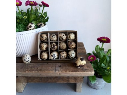 WhatsApp Image 2025 03 21 at 11.20.36 (4)