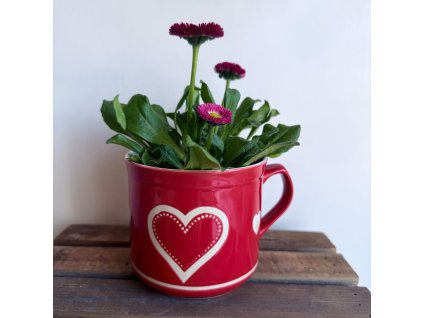 WhatsApp Image 2025 03 21 at 11.20.34