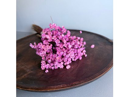 WhatsApp Image 2025 05 23 at 09.25.28 (2)