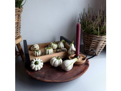 WhatsApp Image 2025 07 24 at 14.32.50