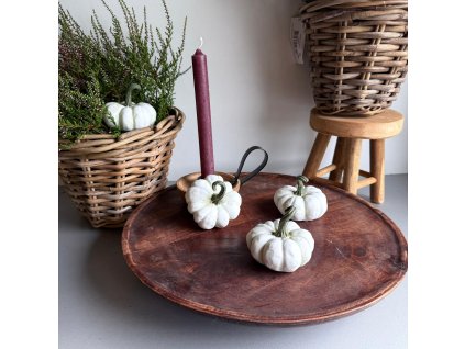 WhatsApp Image 2025 07 25 at 14.44.36 (2)