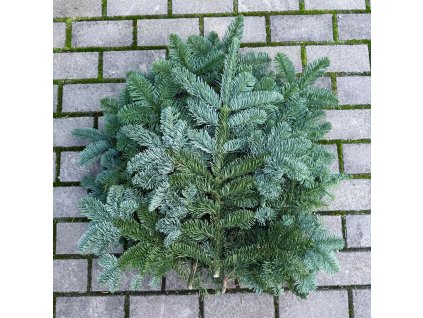 WhatsApp Image 2025 10 24 at 12.33.34