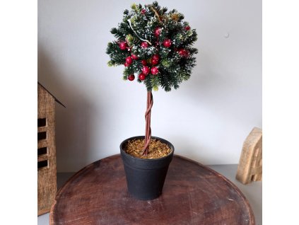 Obrázek WhatsApp, 2025 11 23 v 15.21.38 0ae95f1a