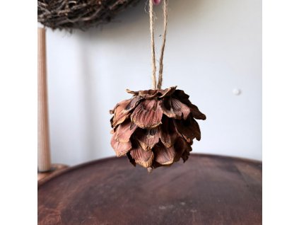 Obrázek WhatsApp, 2025 12 08 v 14.52.36 c9b6ee21