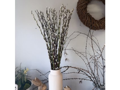 Kočičky 5Ocm (10ks)