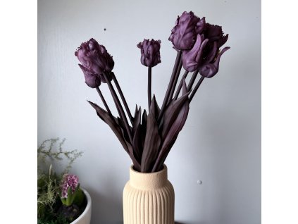 Papouščí tulipán svazek