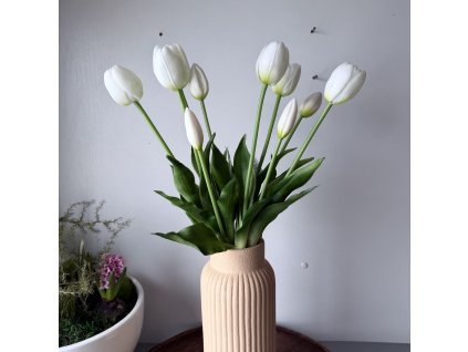 Tulipán guma svazek bílá
