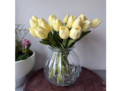 Pěnový tulipán žlutá