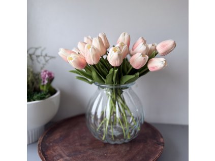 Pěnový tulipán bílorůžová