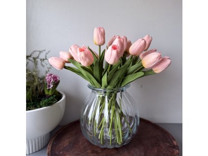 Pěnový tulipán broskvová