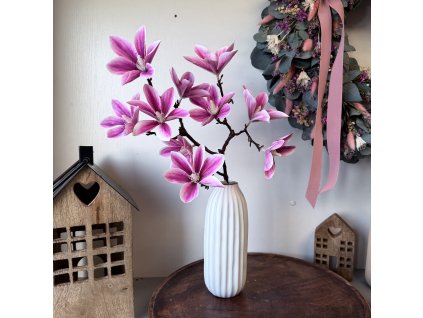 Magnólie větev růžová