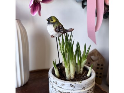 Polyresinový ptáček zápic