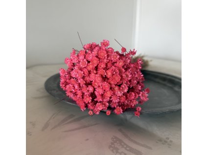 Sušená glixia neonově růžová