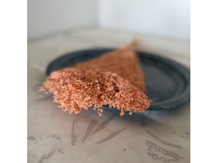 Sušený broom bloom meruňková