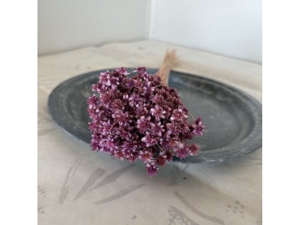 Sušená Hill Flower fialová