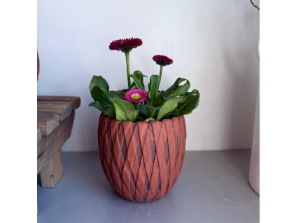 WhatsApp Image 2025 03 21 at 11.20.35 (3)