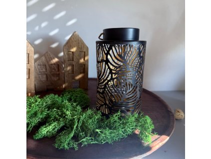 WhatsApp Image 2025 03 16 at 15.02.40