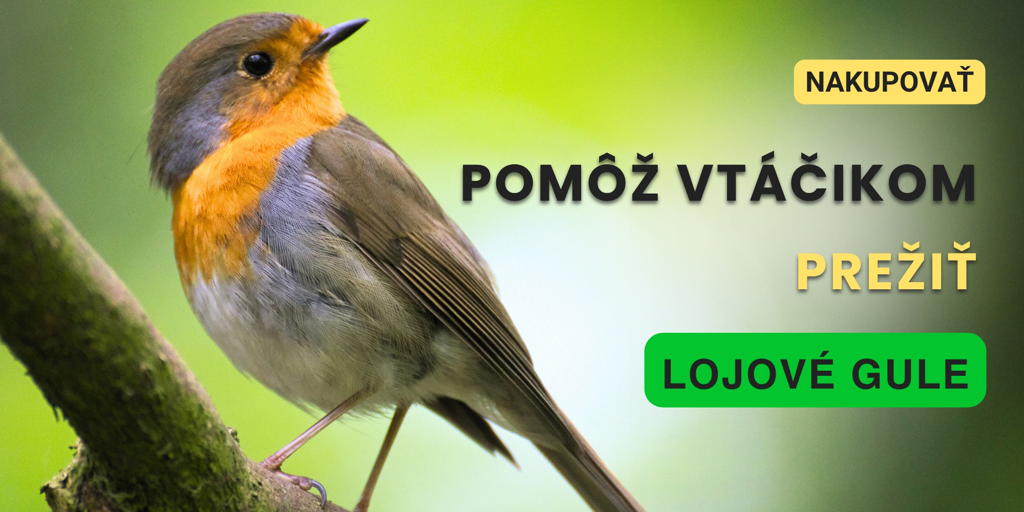 Vtáčiky