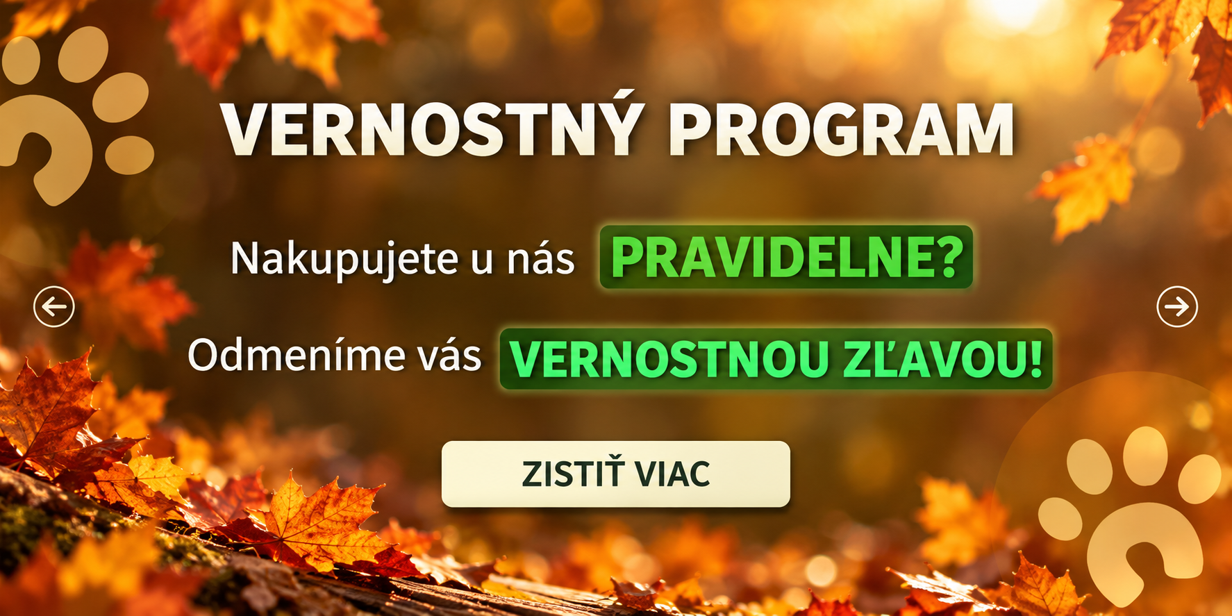 Vernostný program