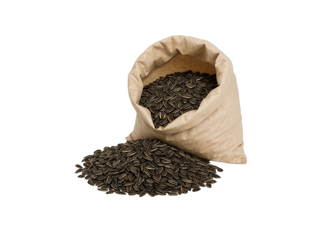 slnecnicove semiacka bez pozadia