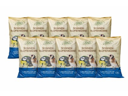 slnečnicové semiačka