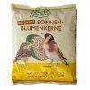 Slnečnicové semiačka lúpané 800g