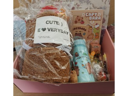 Kapybara box