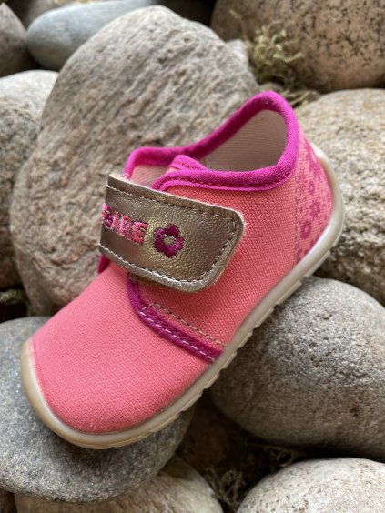 5E816517 29DC 4597 80B7 78FC69DF87A8